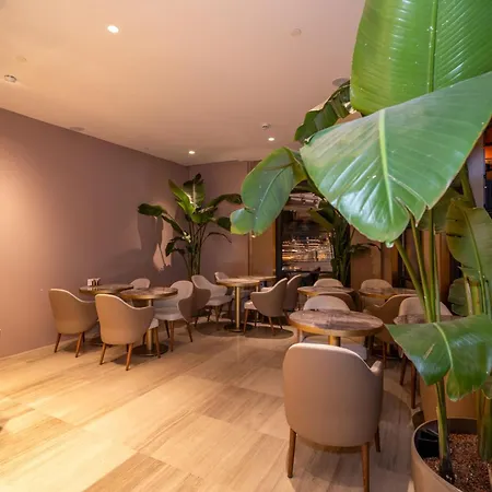 Rayelin Old Town Hotell Istanbul